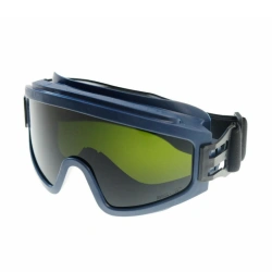 ZN11 PANORAMA StrongGlass™ safety goggles, article no. 24134