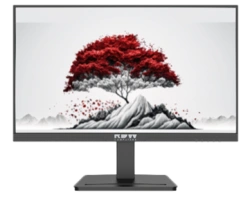 Monitor RDW2501K EMTC.467846.013-01