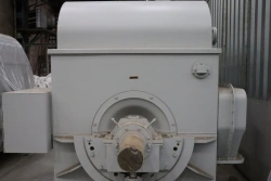 Asynchronous electric motor 4AZM-6300/6000