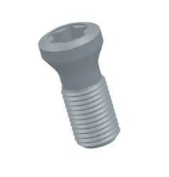 Screw SM 3x8-T