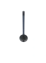 Inlet valve RDG 3641539
