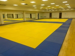 Tatami