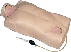 Central vein catheterisation training model, L68A