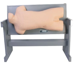 Advanced complex trainer for various punctures, CK810