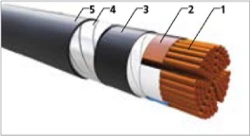 Power cables with plastic insulation for 0,66 and 1 kV. VBShv.