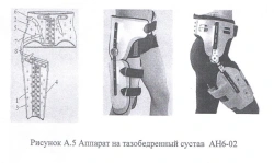 Hip apparatus AN6-02