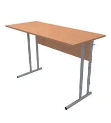 Pupil's desk