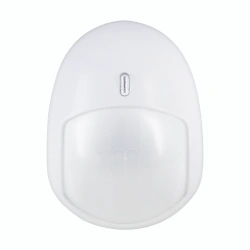 Intrusion detector surface optical-electronic addressable "S2000-IR" version 04