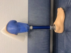 Tibial prosthesis for bathing