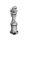 Gate valve 883-250-EMP-01