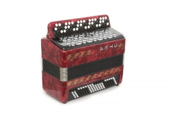 Two-voice accordion "Etyud - 205M2" 55×100-II