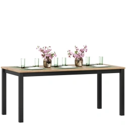 Techno LD.678040.000 Table (Oak Gold/Black )