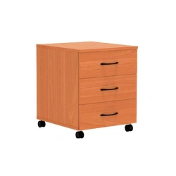 Cabinet for documents