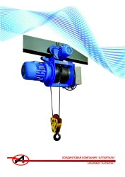 Electric wire rope hoists