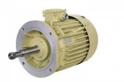 Three-phase asynchronous motors 2DMShN 160, 2DMShNM 160