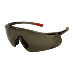 O55 HAMMER PROFI super (5-2,5 PC) safety glasses, article number 15523.