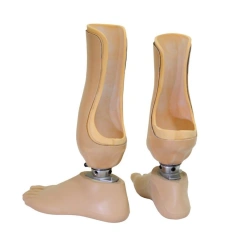 8-07-01 Foot prosthesis