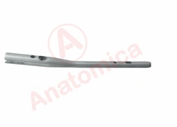 Gamma rod
