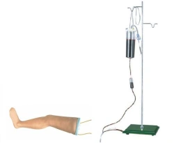 Leg model for IV transfusion S16