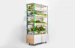 Hydroponic vertical multilevel installation "Sow Seeds"