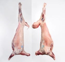 Mutton meat