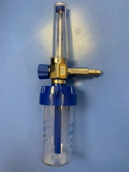 Humidifier of therapeutic gas mixtures ULG
