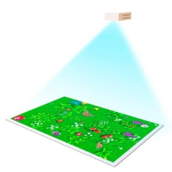 Interactive floor Brand: Interactive project, stationary in case 4500