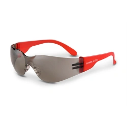Safety goggles O15 HAMMER ACTIVE super, item 11523-5