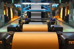 Impregnated and heat-treated polyester corded fabrics