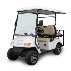 Electric passenger car SVYATEKO ELBRUS model SE22