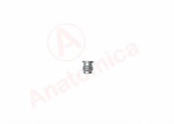 Blanking screw M12