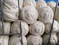 Natural Spinning Fibres