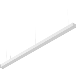 LED luminaire LINER 100 DR/P (610/610)