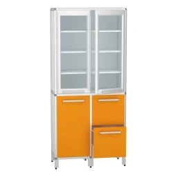 Cabinet for storage of medicines according to TU 32.50.30-007-32924160-2021, article number DM-2-101-19.K2.?2.