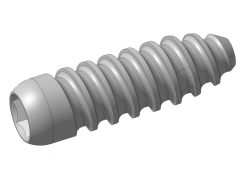 Interference screws, diameter Ø 6 mm to Ø 10 mm, pitch 1 mm, length 20 mm to 40 mm, pitch 5 mm, article number P.004.XX.XX.XX