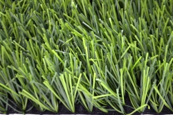Artificial grass Grass 35Z/10 PU/L