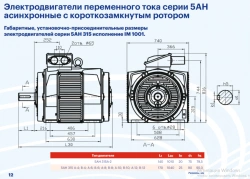AC electric motors of 5AN 315 series asynchronous with squirrel cage rotor with power not more than 75 kW