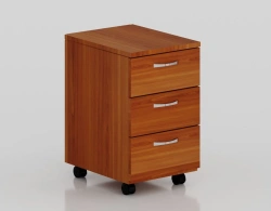 Rolling cabinet for papers