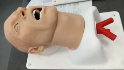 Human head and upper torso phantom for practising adult intubation and cricothyroidotomy skills