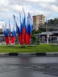 Flag in assortment
