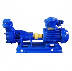 VKS 2/26 pump and electric pump units on its basis