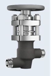 Nuclear Power Valves