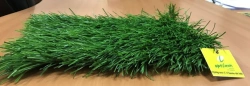 Artificial grass Optigrass C-Classic 60 MF
