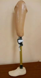 Hip prosthesis for bathing