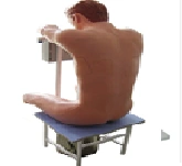 Model for thoracic spinal puncture CK812