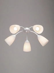General purpose fixed luminaire V3187/5PL