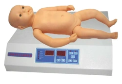 Infant model for auscultation of heart and lungs YRXF
