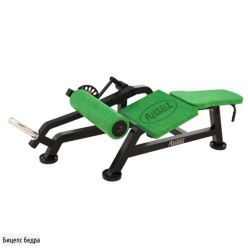 Hip Biceps Trainer