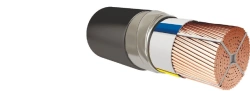 Power cables with plastic insulation for voltage up to 1 kV PvBShp