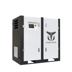 Air compressor station CADUCEUS AIRCAD 3-110 WS, 110 kW, 4.6-20.2 m3/min, 0.8-1.25 MPa